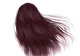 Крем-краска для волос Green Light с белым чаем и экстрактом орхидеи Luxury Haircolor Permanent Coloring Cream 5.2 Light Iris 100 мл - изображение 2