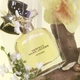 Парфюмированная вода для женщин Marc Jacobs Perfect Intense 50 мл (3616302780037) - изображение 3