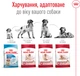 Сухой корм для собак Royal Canin Medium Adult 7+ средних пород от 7 лет 4 кг (3182550708203) (30050400) - изображение 6