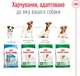 Сухий корм для дорослих собак дрібних порід Royal Canin Mini Adult 8+ старше 8 років 800 г (3182550831413) (831413) - зображення 5