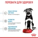 Сухой корм для щенков крупных пород Royal Canin Maxi Puppy, 15 кг - изображение 5