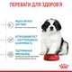 Сухой корм для щенков гигантских пород Royal Canin Giant Puppy до 8 месяцев 15 кг (3182550707046) (3030150) - изображение 4
