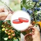 Стрічка для степлера для підв'язування рослин Tapetool Tapener 25м. - зображення 8