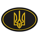 Шеврон патч на липучці "Тризуб" Basic (гума, р-р 7,5x5см, чорний-жовтий) - изображение 1