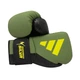 Боксерские перчатки Adidas x Anderson Silva (ADIAS50TG) Green/Black/Yellow 10 унций - изображение 1