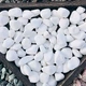 Галька декоративна 1кг (galka-1kg) - зображення 2