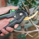 Секатор садовый BauTech плоский профессиональный 225 мм Серый (1014-118-00) - изображение 5