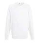 Свитшот мужской Fruit of the Loom Lightweight raglan sweat S Белый (062138030S) - изображение 1