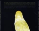 Музичний CD диск Andrew Bird – Armchair Apocrypha (Фірмовий) - зображення 2