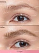 Карандаш для бровей Brow-Fection Angled Brush & Dip, Taupe, 1,2 мл - изображение 2