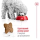 Royal Canin Mini Adult сухий корм для собак 2 кг - изображение 3