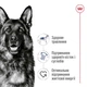 Cухий корм для собак Royal Canin Maxi Adult 15 кг - домашня птиця - изображение 2