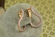 Сережки Xuping Jewelry Дужка 2,8 см золотисті - зображення 2