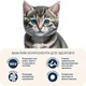 Cухий корм для кошенят Home Food Kitten 1-12 months 400 г - курка - изображение 4