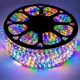 Світлодіодна стрічка SMD 5050, 80м, 60 LED на метр, 220V, статичний режим, IP44, Мультиколор - зображення 1