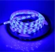 Світлодіодна стрічка зовнішня SMD 5050, 8м, 60 LED на метр, 220В, статичний режим, IP65, Синій - зображення 7