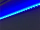 Світлодіодна стрічка SMD 5050, 80м, 60 LED на метр, 220V, статичний режим, IP44, Синій - зображення 5