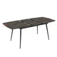 Стол YENSE 145-185x80 Irony Mat - изображение 5