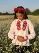 Вишиванка для дівчинки Блуза червона, бязь 116 - изображение 2