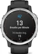 Спортивні годинник Garmin Fenix 6S Solar Silver with Black Band (010-02409-00) - зображення 8