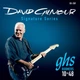 Струны для электрогитары GHS GB-DGF Boomers David Gilmour Signature 10/48 - изображение 1