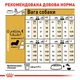 Сухой корм для собак породы такса Royal Canin Dachshund Adult, 1.5 кг - изображение 7