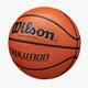 Баскетбольний м'яч Wilson Evolution, розмір 7 - WTB0516XBEMEA - изображение 2