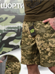 Тактичні шорти піксель tactical L - зображення 6