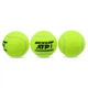 Мячи для большого тенниса 3шт Высокоэластичная резина Войлок DUNLOP ATP CHAMPIONSHI салатовый DL601332 - изображение 6