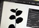 Adobe Illustrator CS6 16 Windows Retail Ukrainian (65165595) - изображение 2