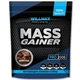 Гейнер Willmax Mass Gainer 2000 g /20 servings/ Chocolate - изображение 1