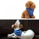 Нашийник - бандана "DJUMPY" Синій Size S - зображення 5