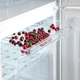 Двухкамерный холодильник SNAIGE RF36SM-S1JJ21 - изображение 5