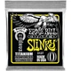 Струни Ernie Ball 3127 Coated Titanium RPS 11-54 Beefy Slinky - зображення 1
