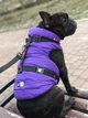 Шлея для собак водостійка анатомічна Н-подібна WAUDOG Waterproof з QR паспортом, пластикова пряжка-фастекс, чорна, розмір S - зображення 10