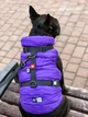 Шлея для собак водостійка анатомічна Н-подібна WAUDOG Waterproof з QR паспортом, пластикова пряжка-фастекс, чорна, розмір S - зображення 11