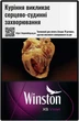 Блок сигарет Winston XS Violet x 10 пачек (4820000539968) - изображение 1
