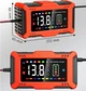 Импульсное зарядное устройство для АКБ XOKO 12V6A с функцией восстановления АКБ - изображение 3
