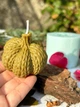 Силиконовая форма вязаная тыква - изображение 2