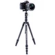 Штатив Vanguard Vesta TB 204CB (Vesta TB 204CB) - изображение 6