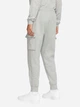 Спортивные штаны утепленные мужские Nike Sportswear Club CD3129-063 L Серые (193147747362) - изображение 2