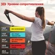 Набор эспандеров для фитнеса WCG T15 5 жгутов и чехол (T15-1) - изображение 2