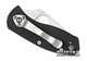 Карманный нож Spyderco Ambitious G-10 (C148G) - изображение 2
