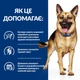 Cухой корм для собак лечебный при диарее и расстройствах пищеварения. Hills Prescription Diet Canine 10кг - изображение 4