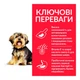 Cухой корм для собак мини и малых пород с курицей Hills Science Plan Adult Small & Mini Sensitive Stomach & Skin Chicken 6кг - изображение 2