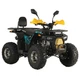 Квадроцикл FORTE ATV125P Блакитно-жовтий - изображение 1