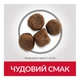 Сухой корм для щенков средних пород с ягненком Hills Science Plan Puppy Medium Lamb 2.5кг - изображение 3