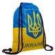 Рюкзак-мешок Желто-Голубой 46x37 Полиэстер - изображение 1