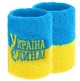 Напульсник спортивний махровий Жовто-Блакитний УКРАЇНА Єдина - зображення 1