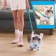 Інтерактивна іграшка Furreal серії Wag-A-Lots - Кошеня (6900007423762) - изображение 3